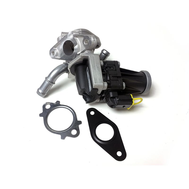 Pierburg EGR Valve 7.03784.34.0 7.03784.34.0 Neo Brothers