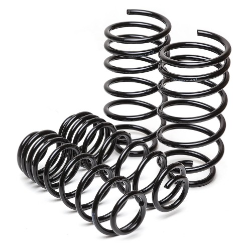 Aero / Sports Suspension Coil Springs Kit Neo Brothers
