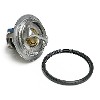 OE Thermostat Kit 12622410